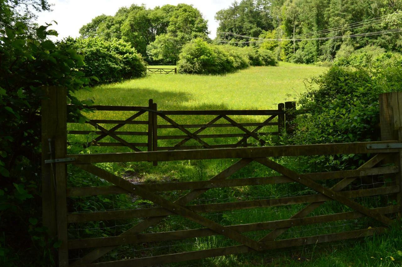 Ironbridge Lodge Buitenkant foto